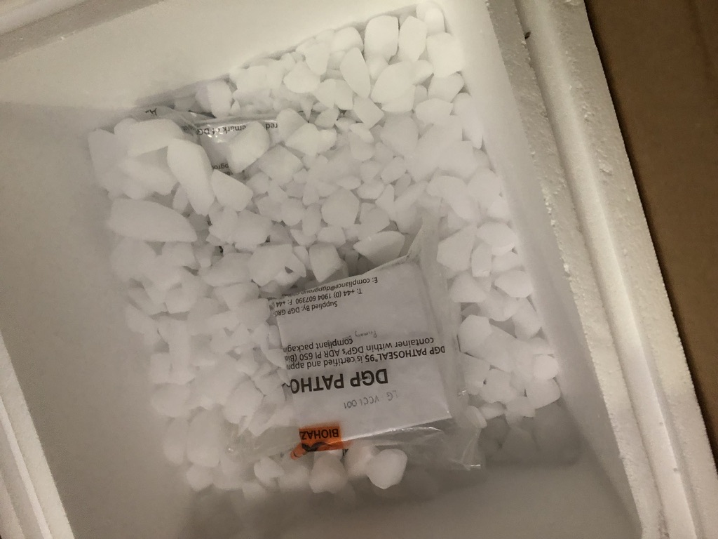 Bagged dry ice inside an insulated shipping container